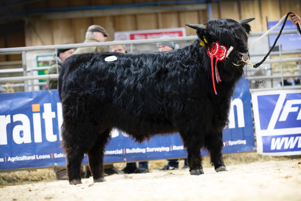 Lord Ranald Photo